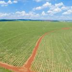 UMA ÁREA DE TERRA URBANA DE 1,2 HECTARES LOCALIZADO NO BAIRRO PIÇARREIRA, NA CIDADE DE SÃO RAIMUNDO NONATO